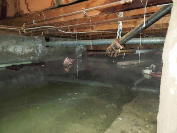 Trusted Buffalo, SC Water damage restoration Experts