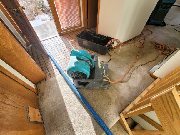 Best Water damage cleanup near me  in Buffalo, SC