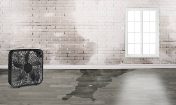 Best Fire Damage Restoration  in Buffalo, SC