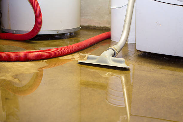 Best Mold removal after water damage  in Buffalo, SC