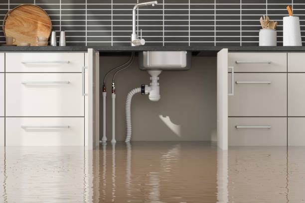 Best Water damage restoration near me  in Buffalo, SC