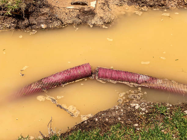 Best Local water damage restoration  in Buffalo, SC