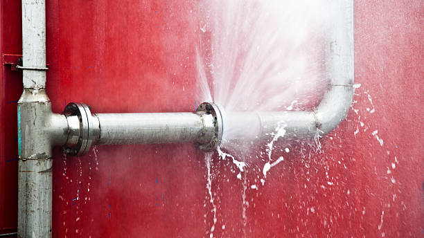 Best Flooded house restoration  in Buffalo, SC