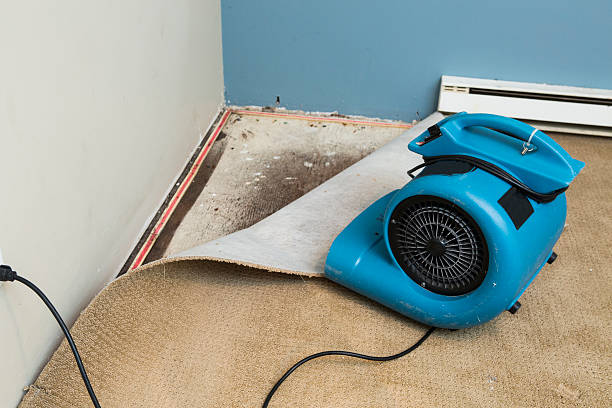 Best Water damage restoration near me  in Buffalo, SC